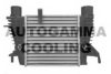 AUTOGAMMA 107257 Intercooler, charger